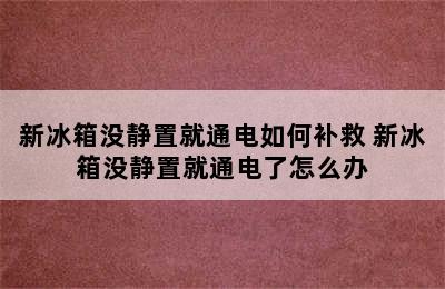 新冰箱没静置就通电如何补救 新冰箱没静置就通电了怎么办